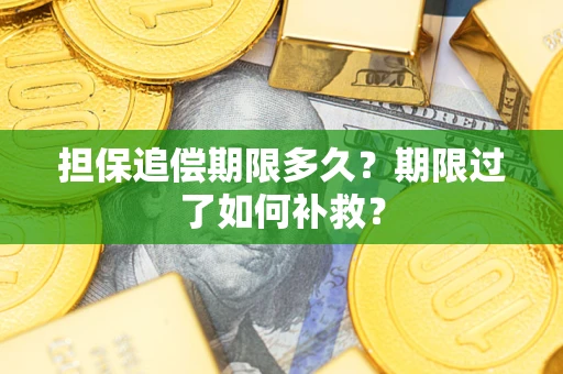武汉担保追偿期限多久？期限过了如何补救？