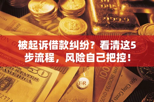 武汉被起诉借款纠纷？看清这5步流程，风险自己把控！