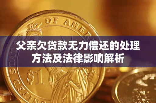 武汉父亲欠贷款无力偿还的处理方法及法律影响解析